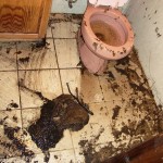 DSC02386